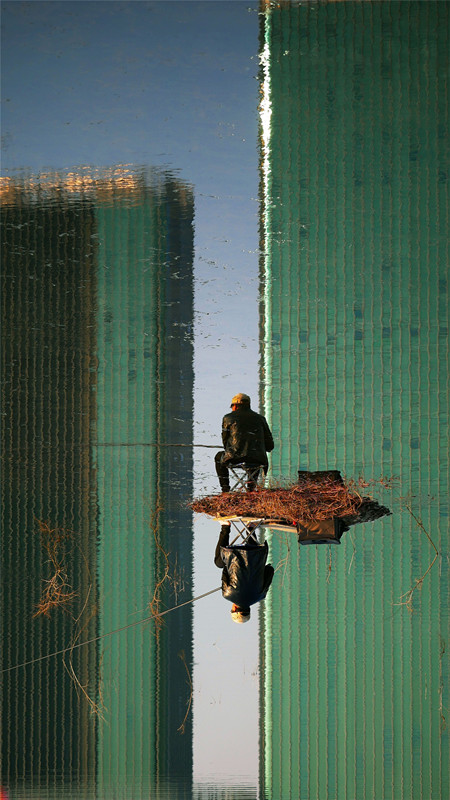 1519609526411661.jpg 三等獎:毛協(xié)東攝影作品《高視闊步》.jpg